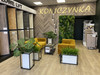 Jardin vertical tropical moderne en bois massif