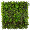 Jardin vertical Mountain Pine 100x100 cm, couverture végétale dense et esthétique