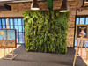 Vue de face du jardin vertical Mountain Pine, installation murale stylée