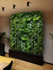 Jardin vertical suspendu en bois limba, dimensions 50x100 cm, style éclectique et champêtre.