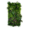 Jardin vertical Paradise Lining 50x100 cm, design épuré et naturel