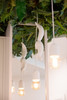 Jardin vertical Botanic Bush 50x100 cm, design épuré et végétal luxuriant