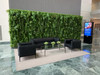 Jardin vertical Green Ivy en détail, plantes luxuriantes