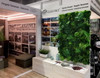 Jardin vertical Chemaora - Design élégant en bois et métal
