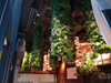 Jardin vertical Chemaora - Détail des panneaux végétaux modulaires