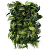Jardin vertical Flora Twist 50x100 cm, design moderne et végétal luxuriant