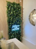 Jardin vertical mural végétal, design épuré et naturel