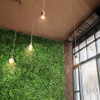 Mur végétal Lebiodka 50x50 - Visualisation mur intérieur avec panneau végétal