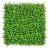 Mur végétal Wielomlecz 50x50 cm - Vue de face