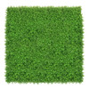 Mur végétal Wielomlecz 50x50 cm - Détail texture