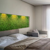 Mur végétal Wielomlecz 50x50 cm - Détail texture et végétation dense