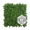 Matte verte artificielle Skrzydlik FR - B UV 50x50 cm, aspect réaliste et texture fine