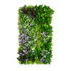 Jardin vertical Vineyard 50x100 cm, design naturel en mousse végétale