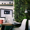 Jardin vertical Rainforest, visualisation réaliste intérieur moderne