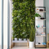 Jardin vertical Tropical Freshness – design moderne et végétal luxuriant