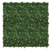 Jardin vertical Ivylace 2x2 m, couverture végétale dense et esthétique
