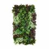 Jardin vertical Tundra 50x100 cm, design compact et moderne
