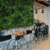 Jardin vertical Wildgrass FR UV - Panneau fin, mise en situation