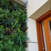 Jardin vertical Essence FR UV - Détail de la pose et de la texture