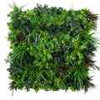 Jardin vertical Essence FR UV - Miniature format réduit