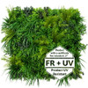 Jardin vertical Crispseed FR UV - Vue angulaire