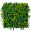 Jardin vertical Crispseed FR UV - Vue d'ensemble du produit