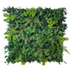 Jardin vertical Fresh Stems FR UV – Miniature de présentation