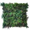 Jardin vertical Highland FR UV 50x50 cm, design compact et moderne