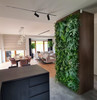 Jardin vertical Boho Grove - Installation murale végétale élégante et moderne