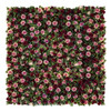 Jardin vertical Passion 2x2 m, installation facile et impact visuel maximal