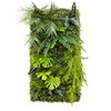 Jardin vertical Tropical Vibe – panneau végétal décoratif aux tons exotiques