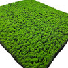 Mousse Chrobotek 100x100 cm en perspective, idéale pour aménagements intérieurs.
