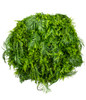 Détail du plafonnier suspendu Green Sway 100 cm, texture et qualité des feuilles artificielles