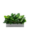 Insert en céramique pour pot de fleurs, design moderne, couleur naturelle