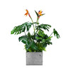 Insert en céramique pour pot de fleurs, design moderne et élégant