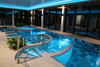 Réservoir à fleurs Dove en céramique, design élégant et moderne