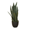 Plante artificielle Sansevieria Zelenica 65 cm, design réaliste et élégant
