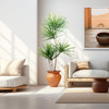 Visualisation de la plante dans un intérieur moderne et élégant