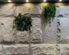 Panneau PU Vinson S3 60x120 cm, aspect bois authentique, finition mate