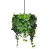 Abaissoir en bois massif pour lampe Nature Glow, design naturel et élégant