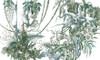 Blossom - Vue de face mettant en valeur la finition haut de gamme et les proportions harmonieuses