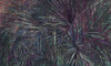 Papier peint panoramique effet naturel pour intérieur moderne