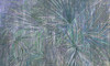 Mur panoramique Amazonia avec motifs exotiques et feuillage luxuriant