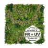 Mur végétal décoratif Sierra Moss FR UV, format 100x100 cm, résistant aux UV et au feu.