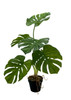 Plante Monstera artificielle 65 cm, vue frontale détaillée