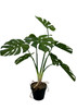 Plante Monstera artificielle 65 cm, vue latérale et texture des feuilles
