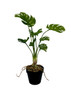 Plante Monstera artificielle 53 cm — vue latérale et texture des feuilles