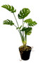 Vue de face de la plante Monstera artificielle 53 cm, détail des feuilles découpées