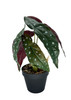 Bégonia artificiel corail 36 cm – vue latérale et texture des feuilles
