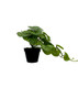 Plante Pilea artificielle 37 cm, vue principale avec détails des feuilles texturées.